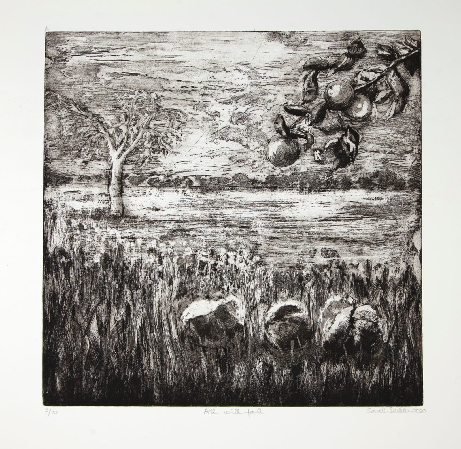 Sarah Seddon, All Will Fall