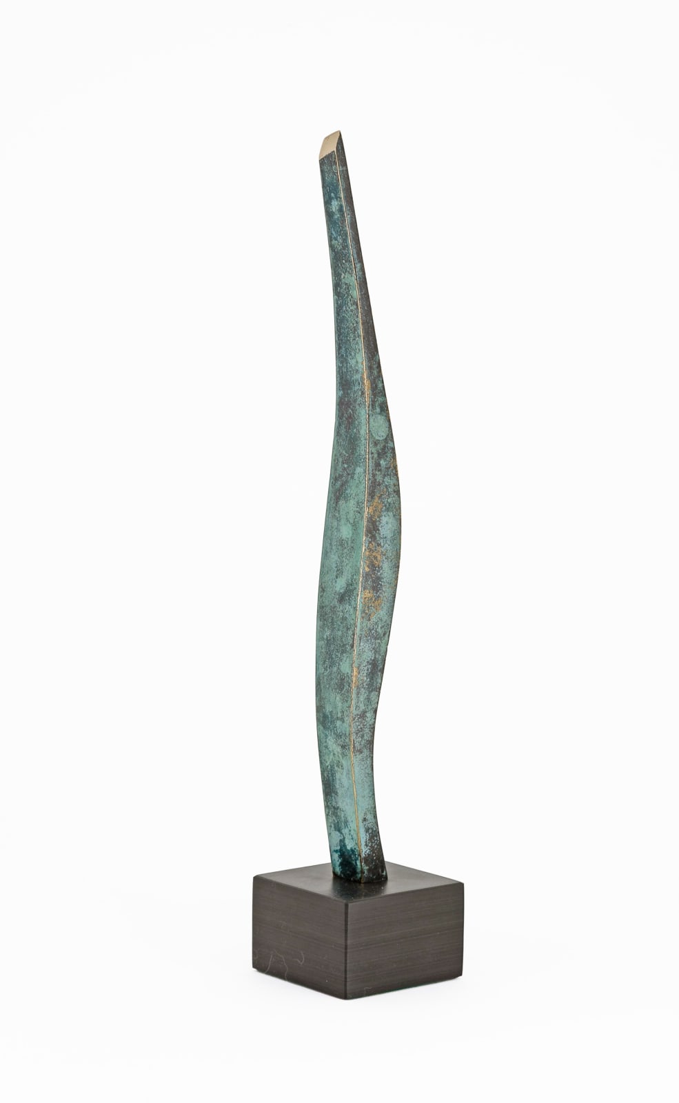 Chris Buck, Touched The Sky