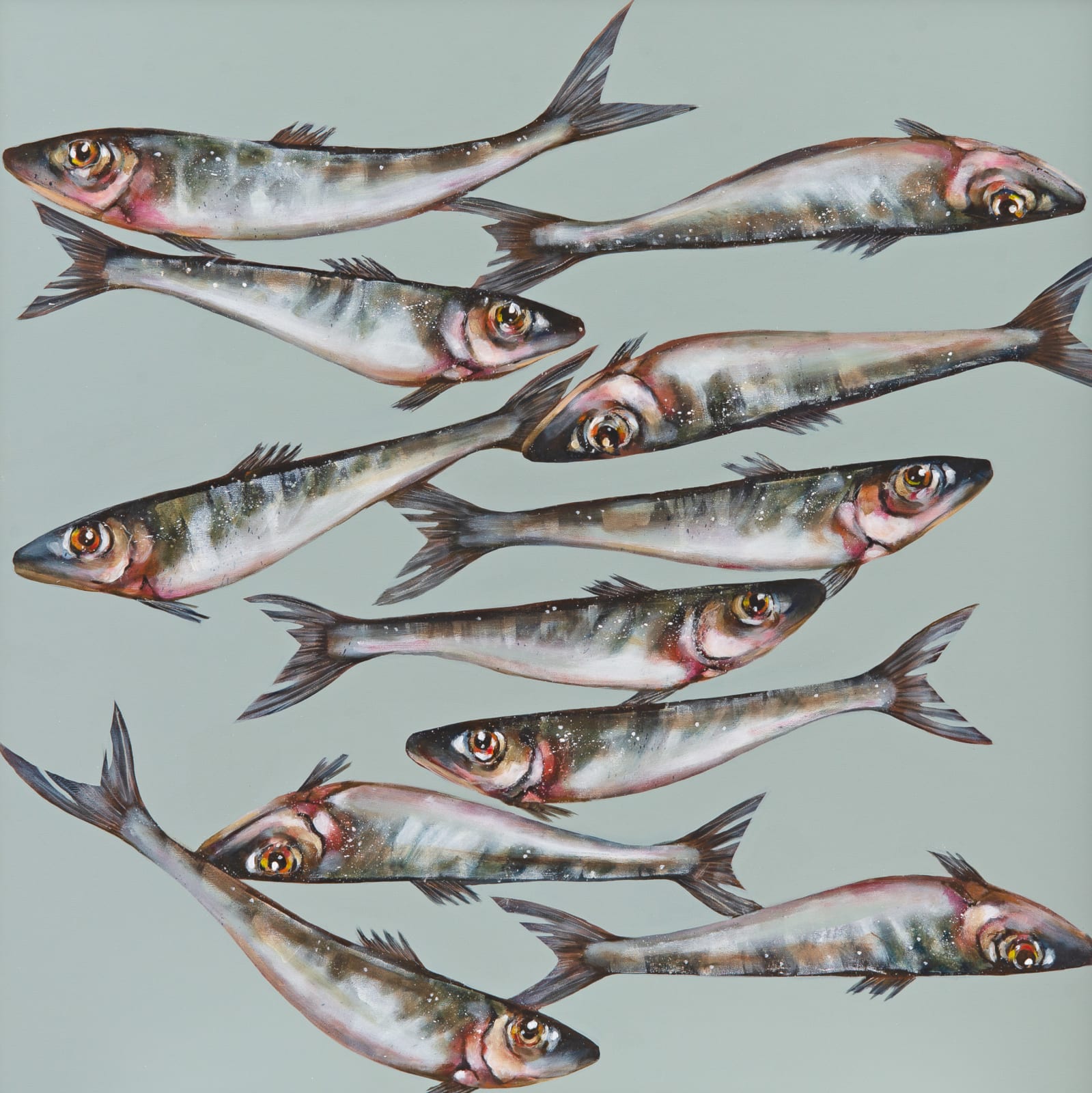 Caroline Cleave, Summer Sardines