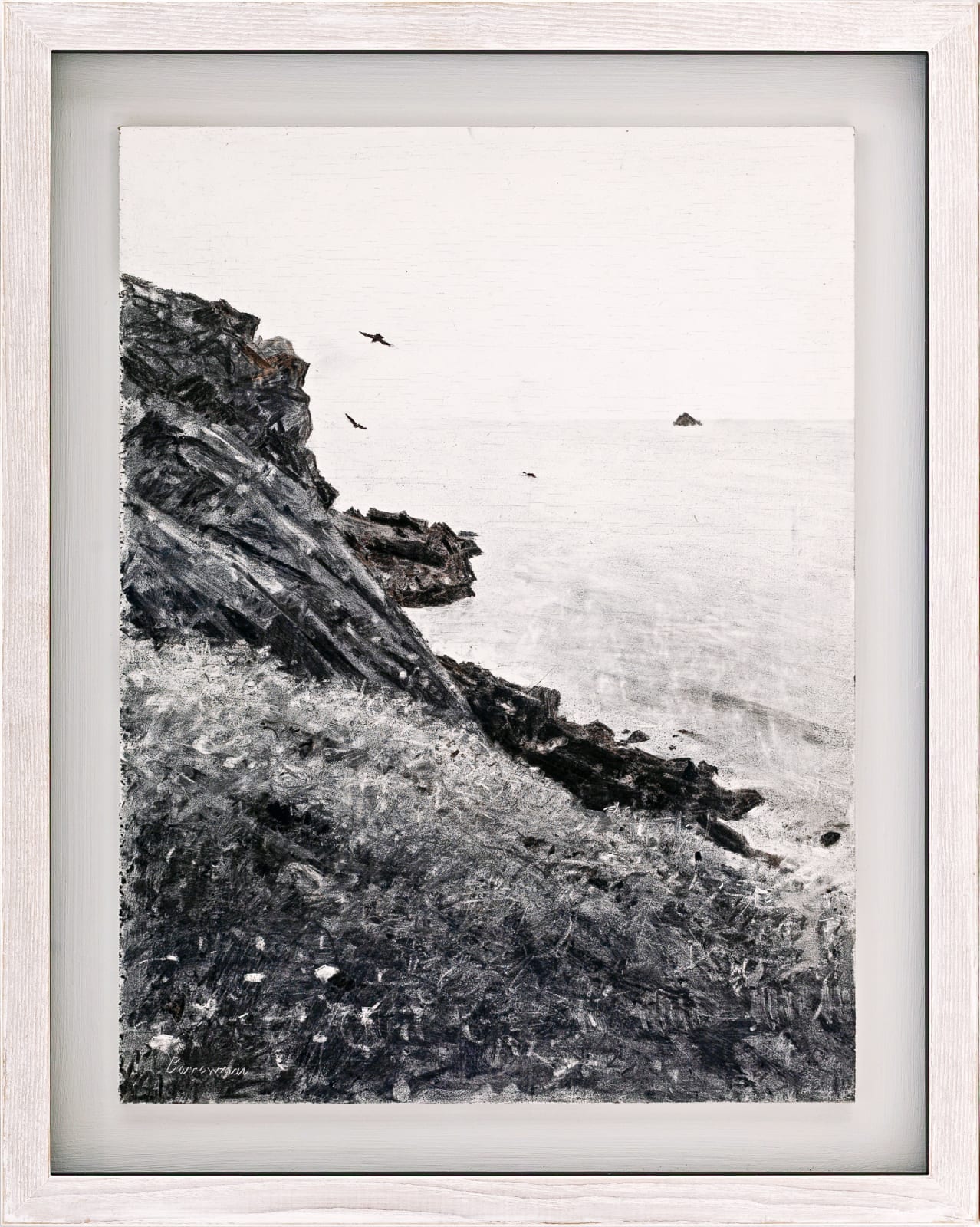 Andrew Barrowman, Cornish Choughs, Pentire Head