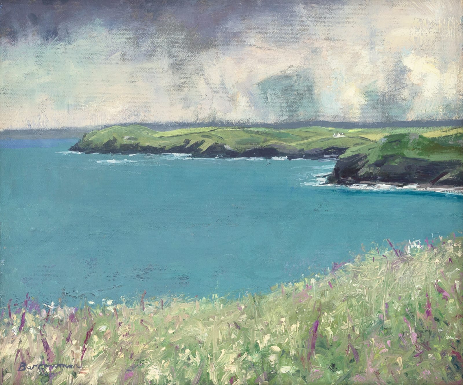 Andrew Barrowman, Amazing Year for Foxgloves, Carnweather, North Cornwall Coast