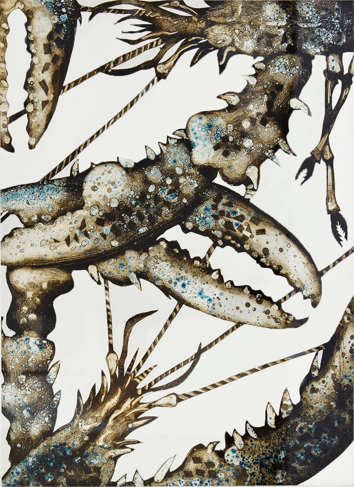 Caroline Cleave, Lobsters