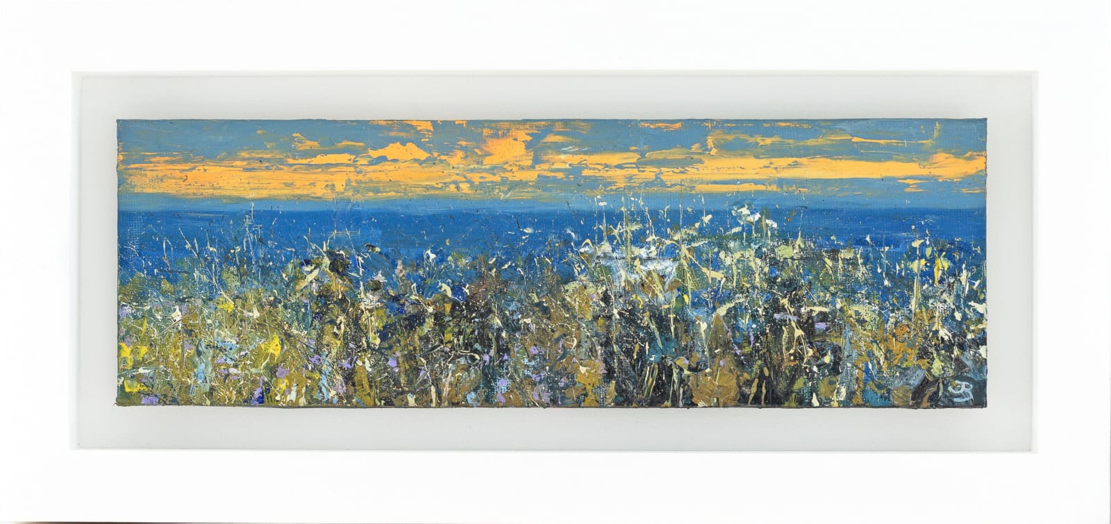 John Brenton, Coast Path Wild Flowers