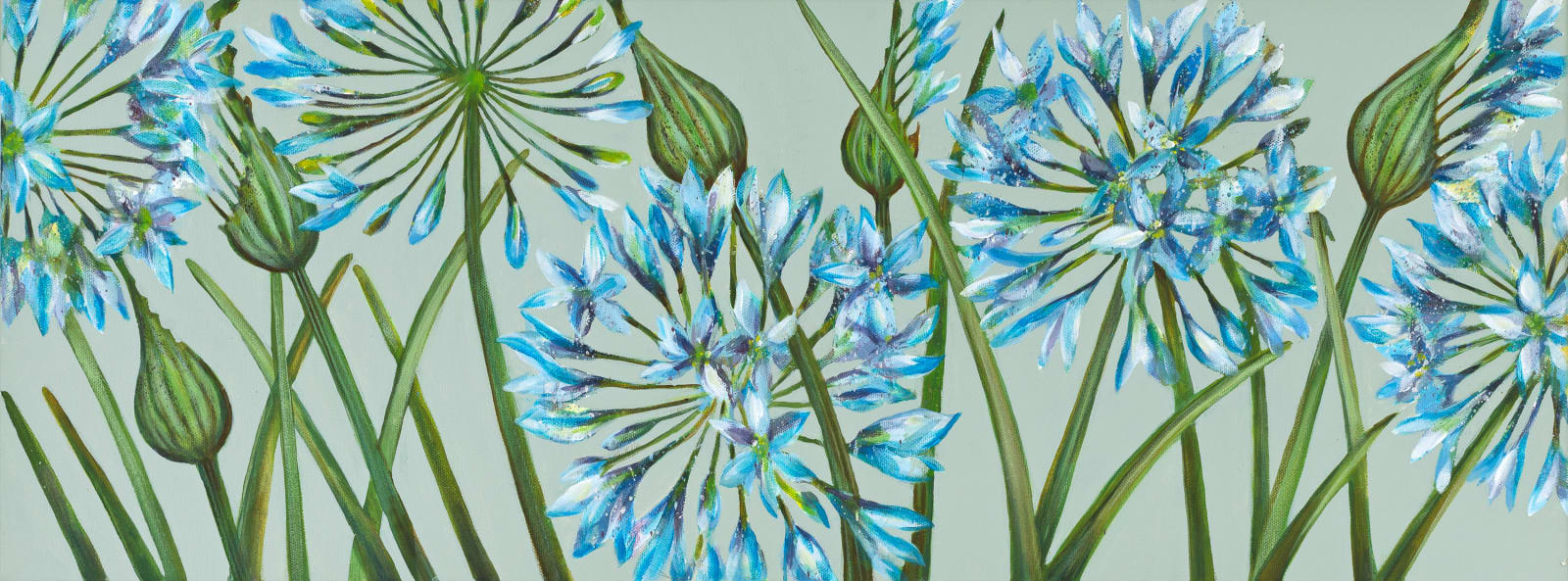 Caroline Cleave, June Agapanthus - True Blue