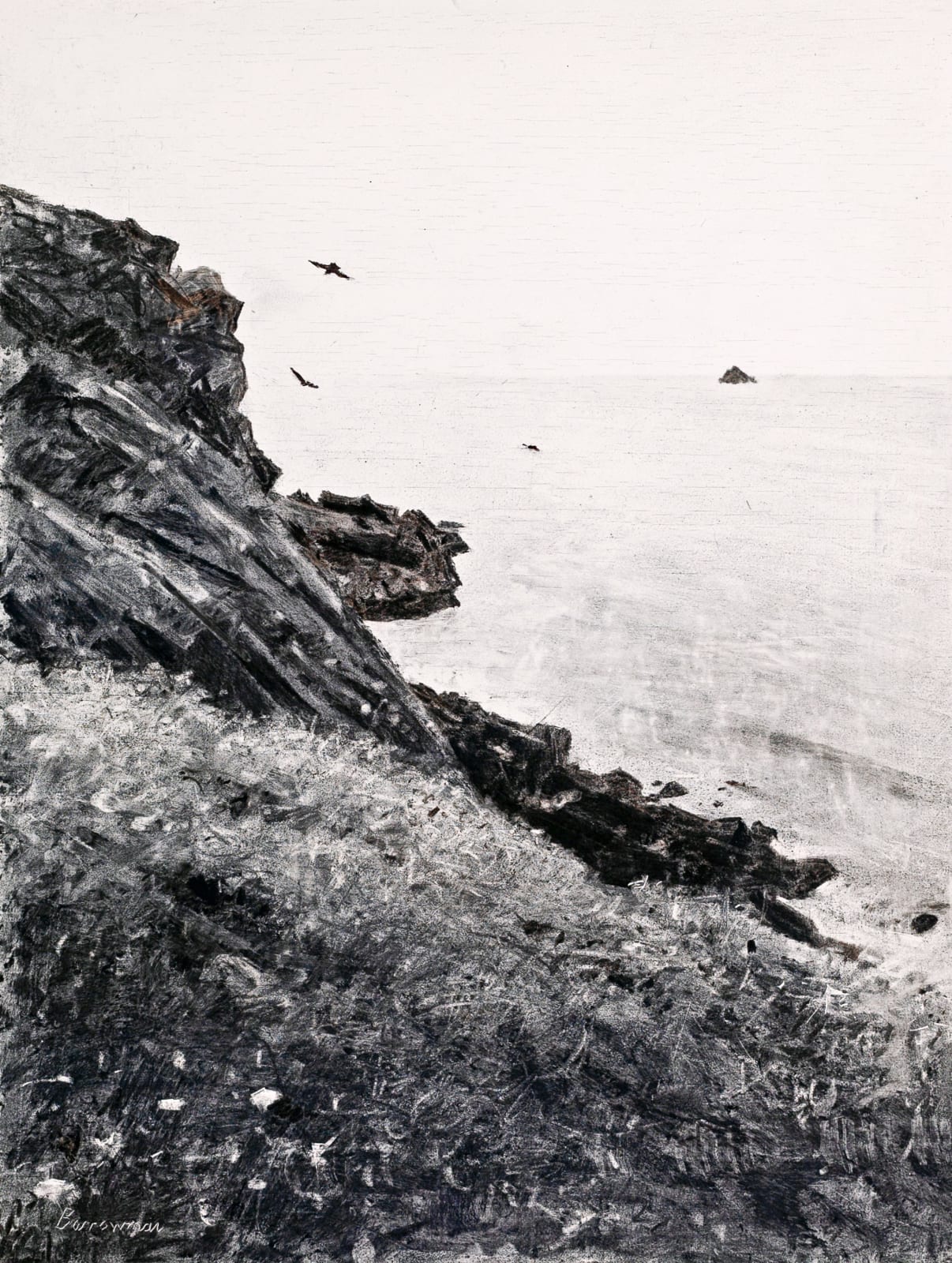 Andrew Barrowman, Cornish Choughs, Pentire Head