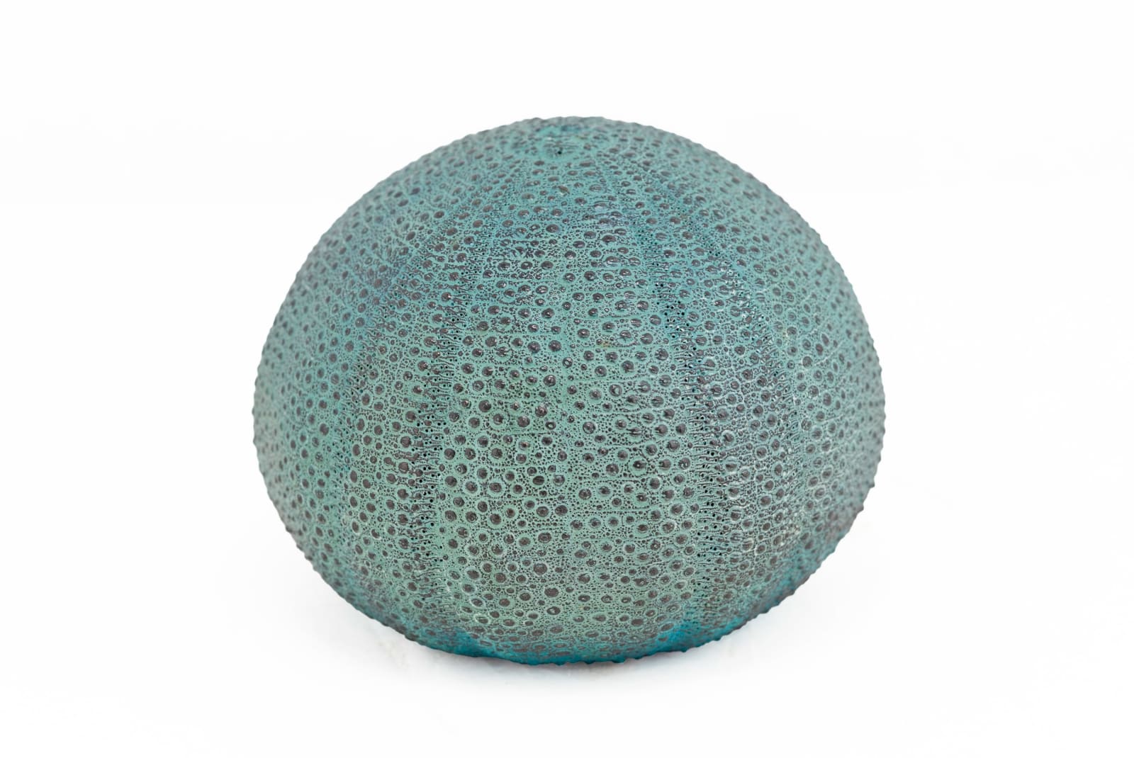 Sara Ross, Sea Urchin