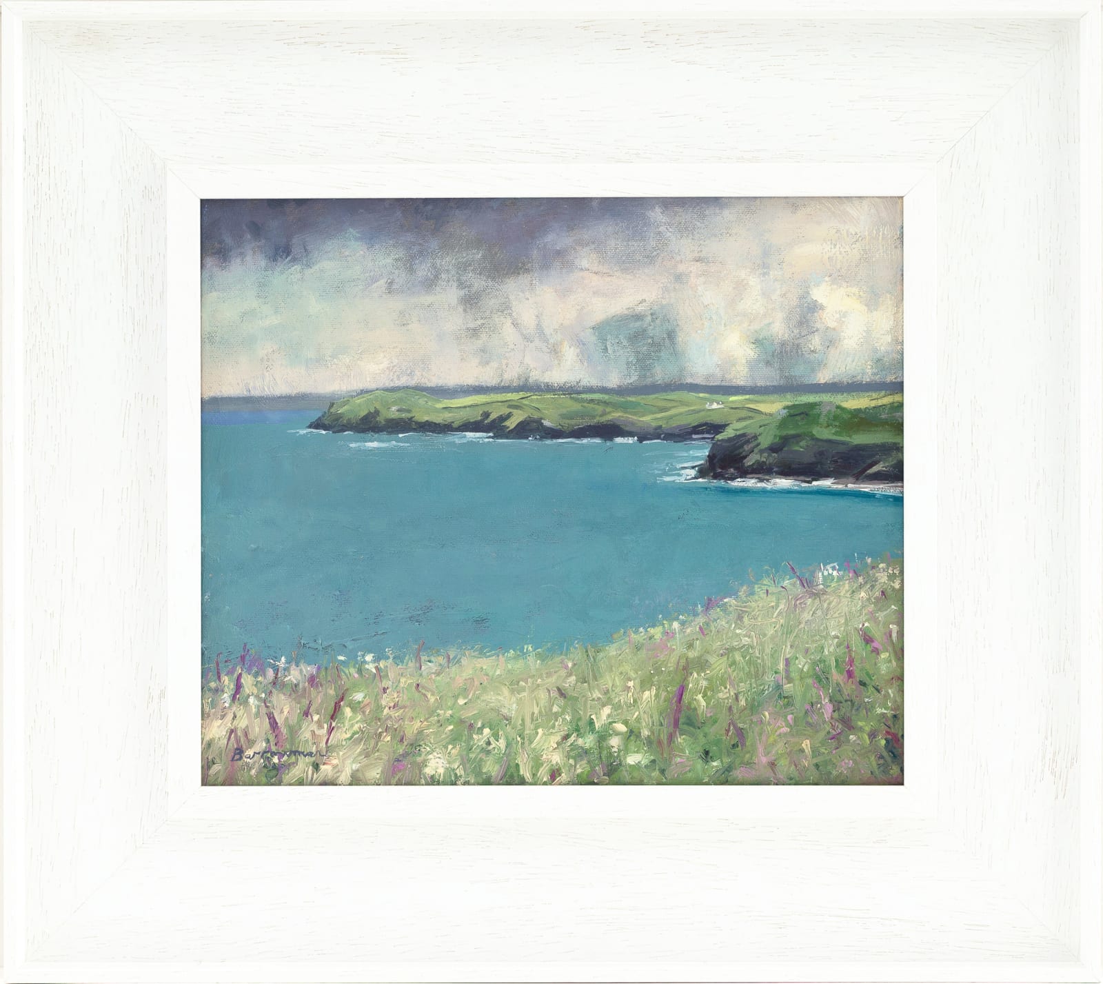 Andrew Barrowman, Amazing Year for Foxgloves, Carnweather, North Cornwall Coast