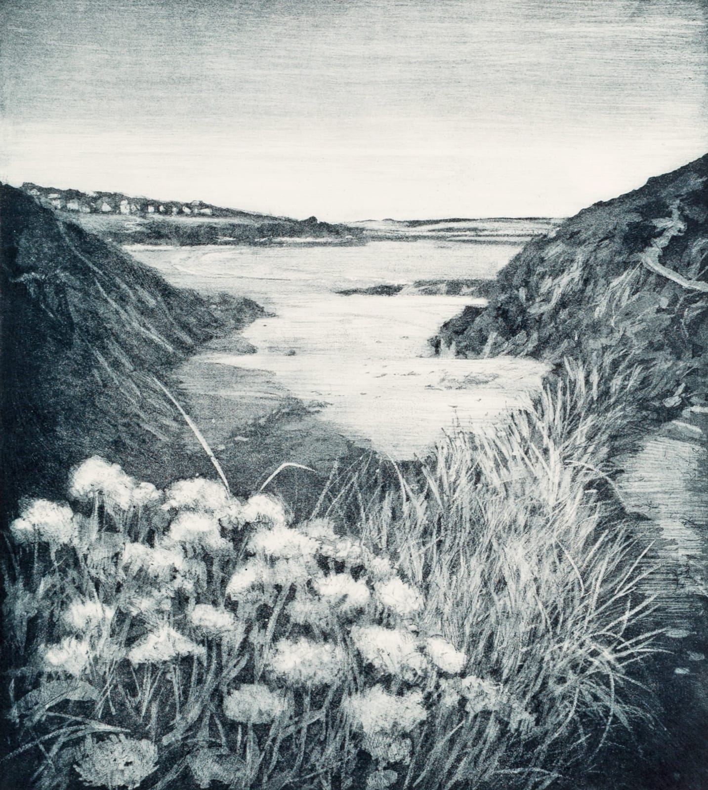 Ley Roberts, Polzeath From Pentire Haven