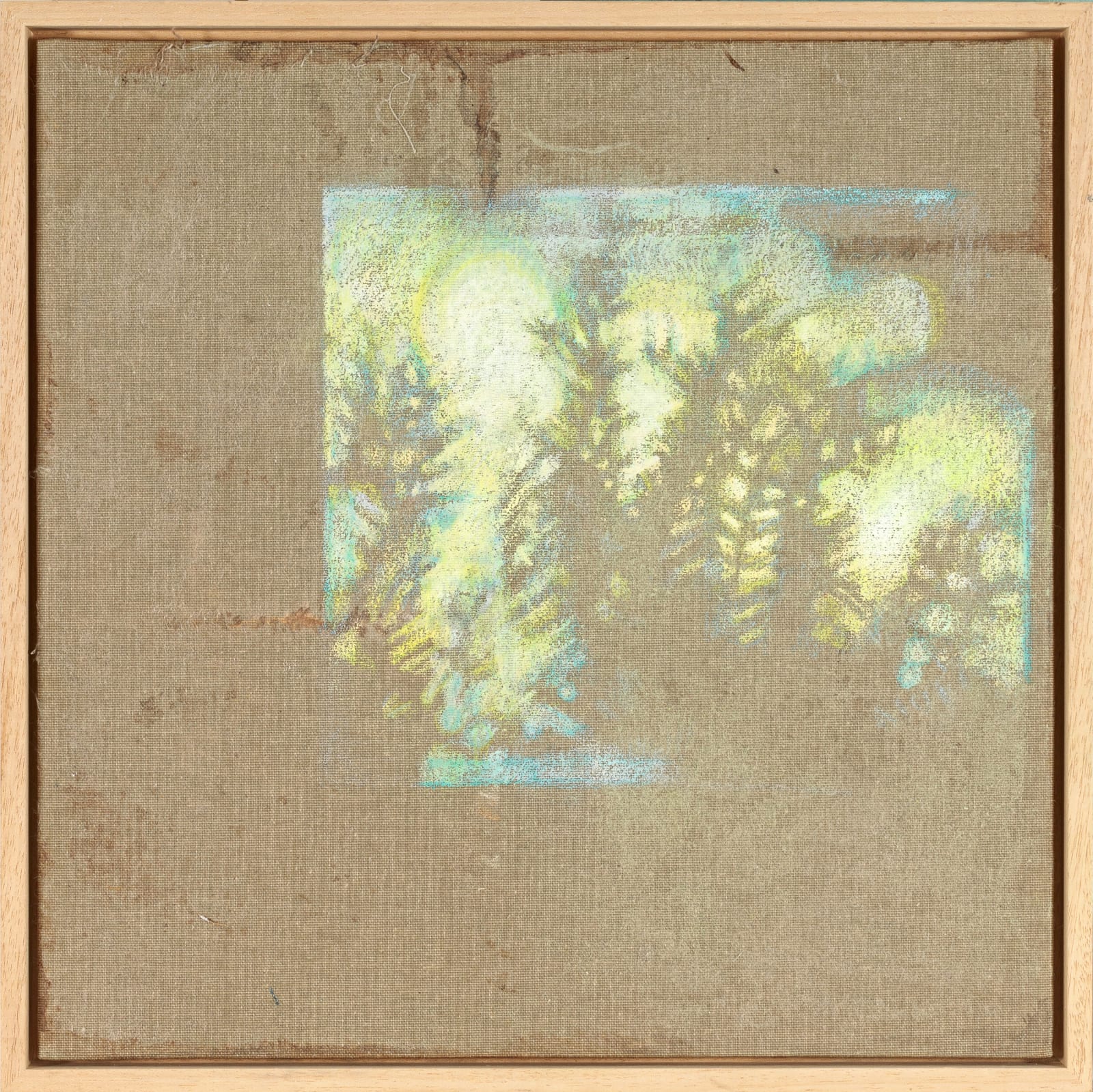 Hannah Davies, Light Patch Through the Rosemary