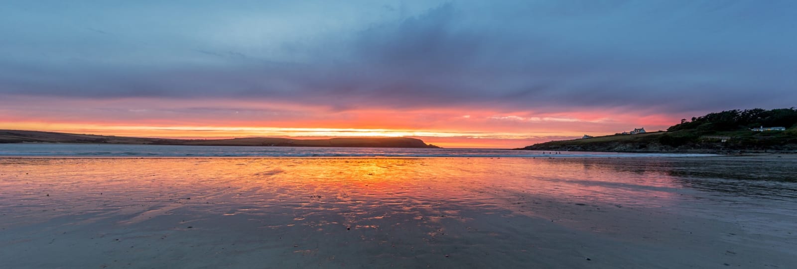 Nick Wapshott, Barbecue View
