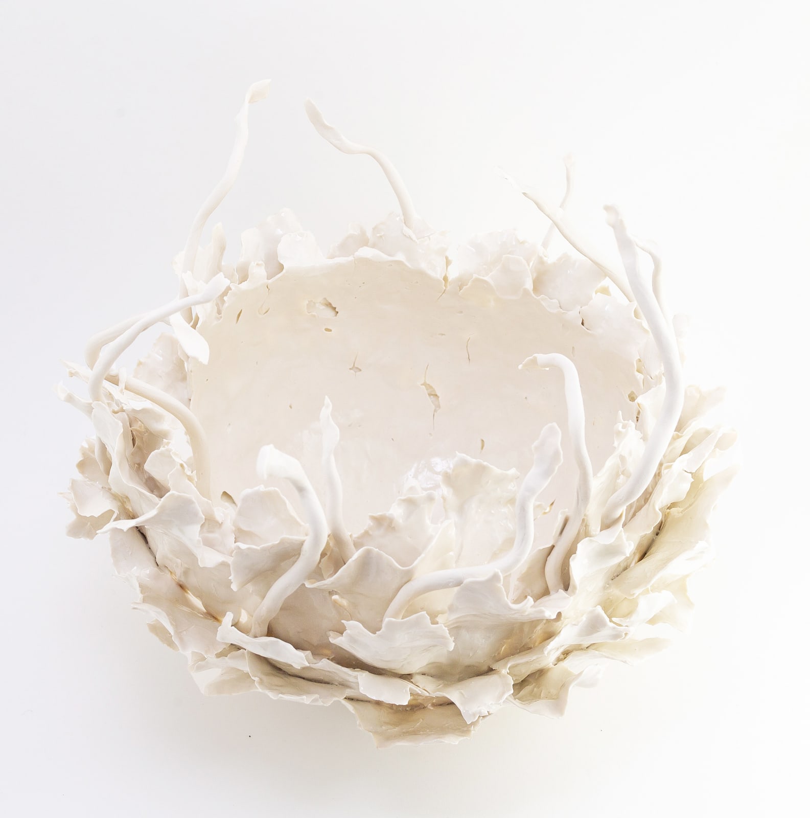 Melanie Legge, Sea Grace