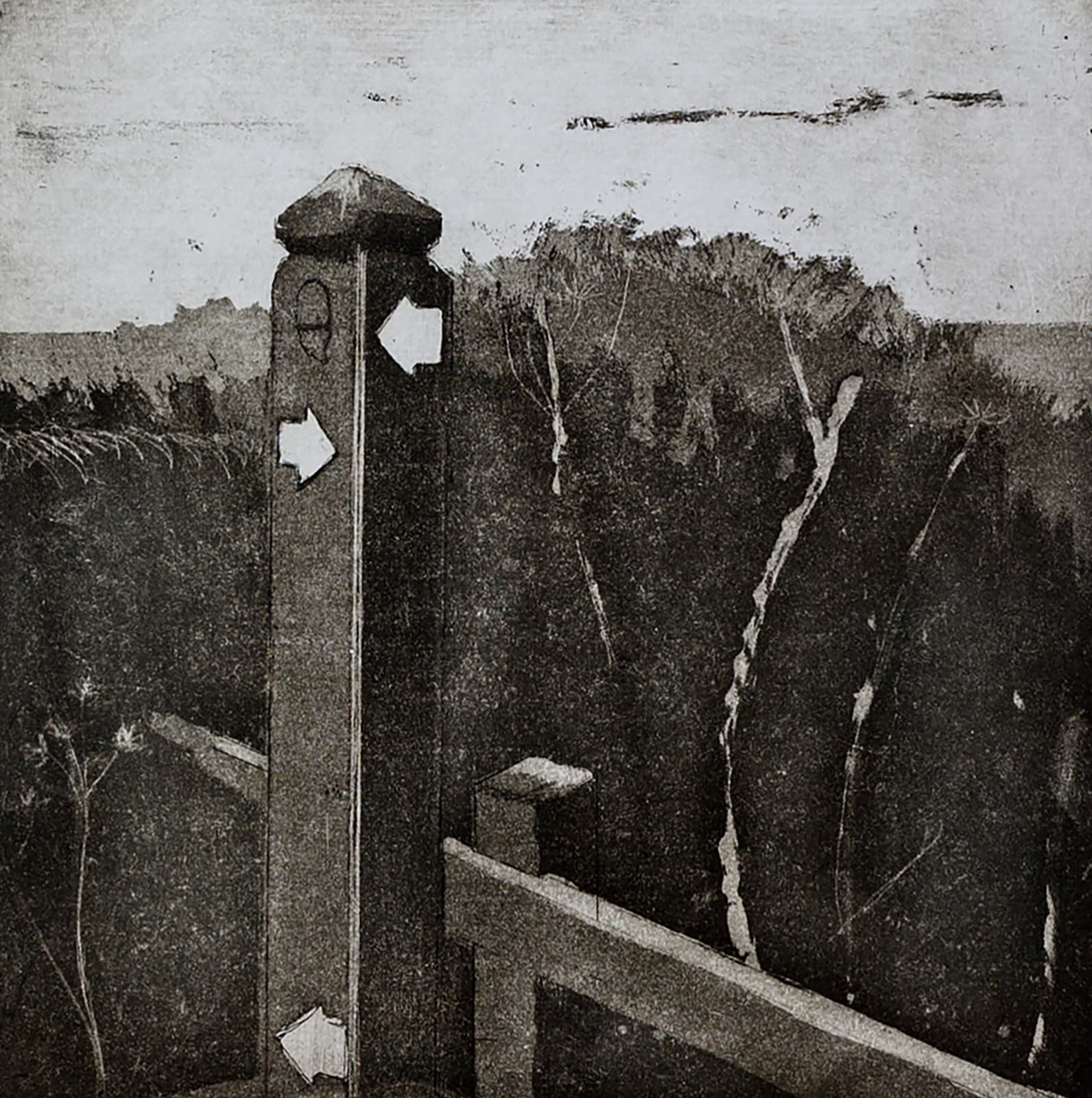 Sarah Seddon, Which Way I