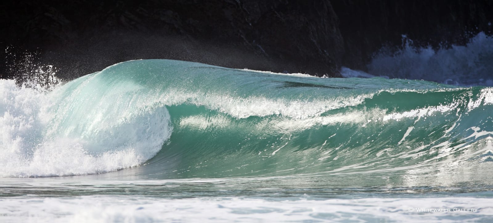 Nick Wapshott, Unridden