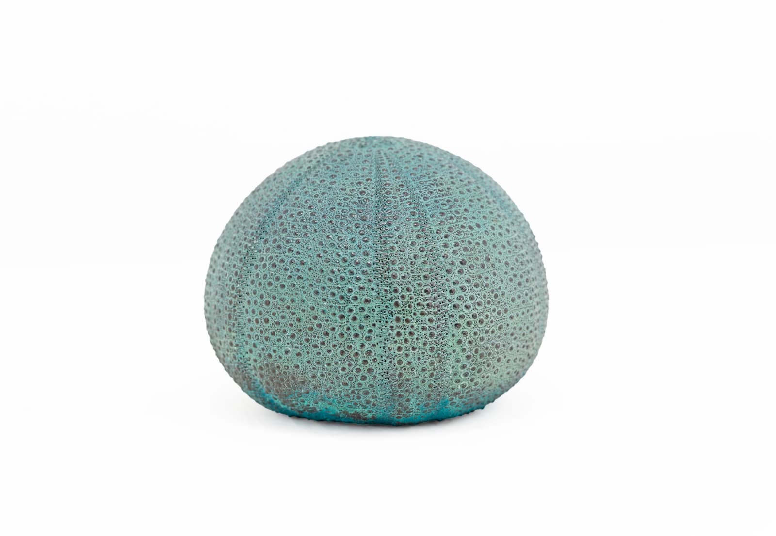 Sara Ross, Sea Urchin