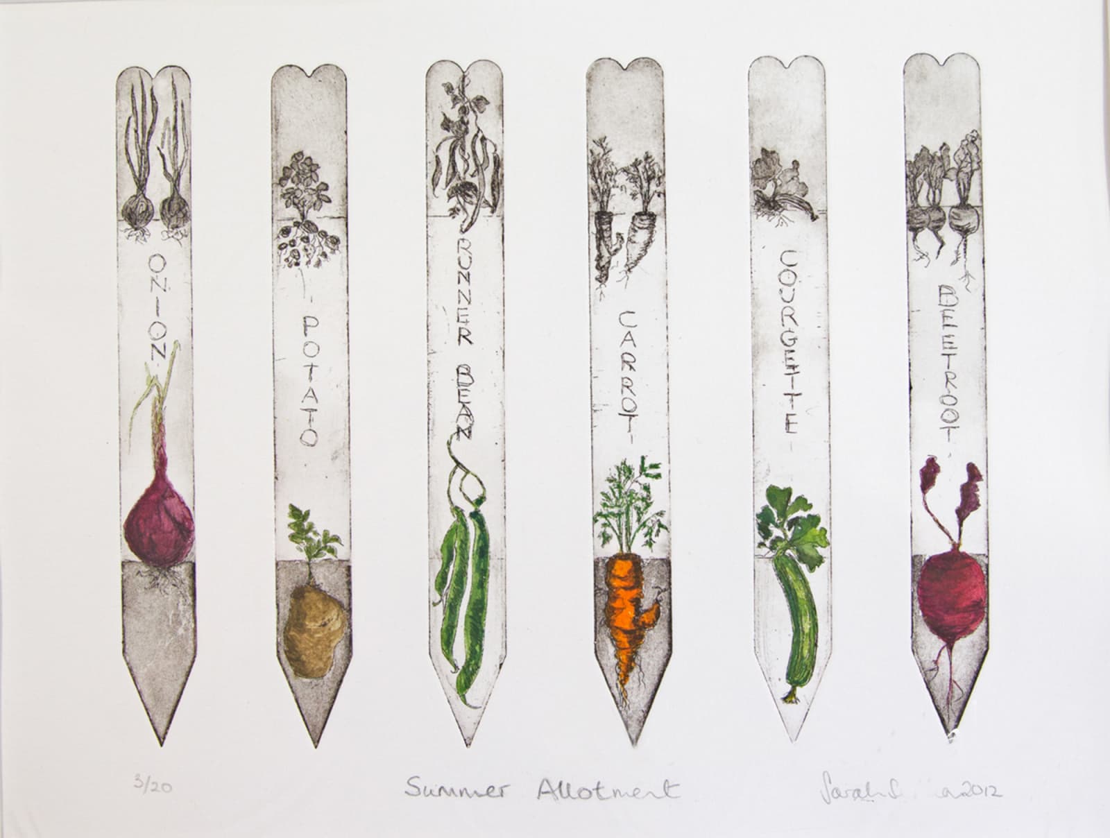 Sarah Seddon, Summer Allotment