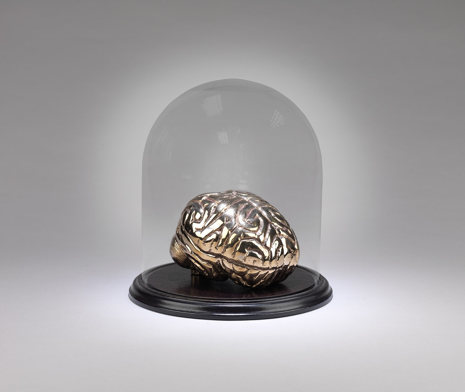 Clive Barker, Brains, 2015