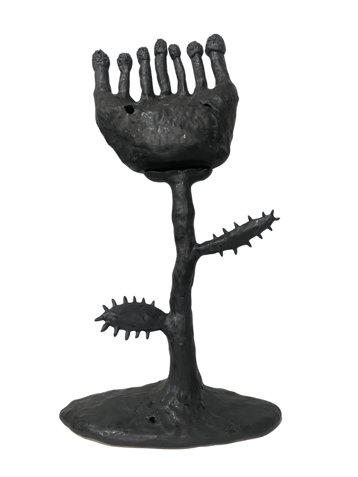 Hoàng Thiện Phúc, Seedling (Mầm) #01, 2025