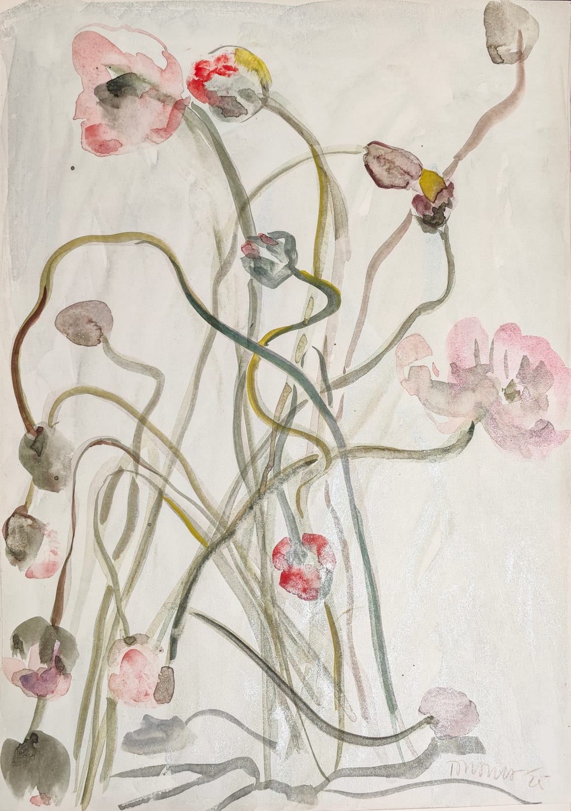 Dương Thuỳ Dương, Still life Sketch (Ký hoạ Tĩnh vật), 2025