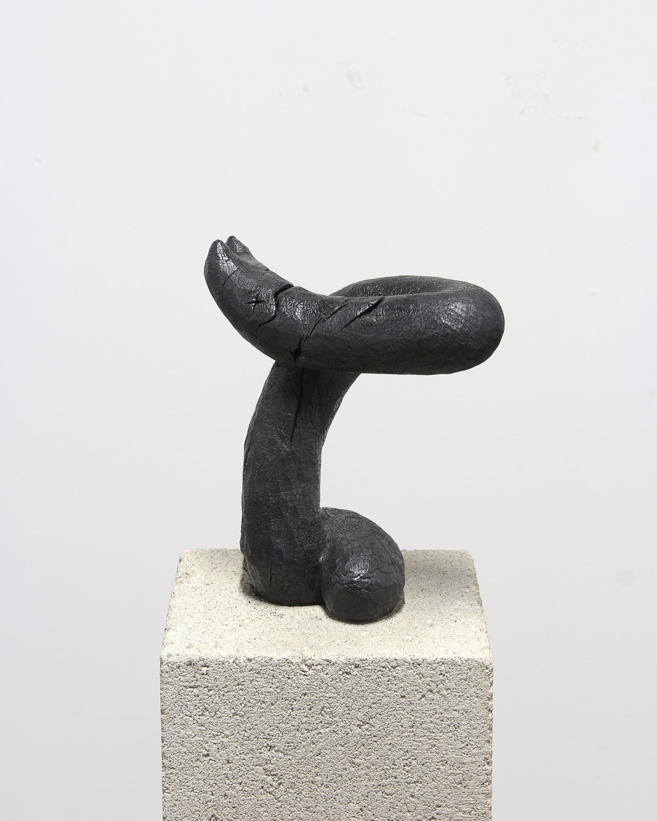 John Zane Zappas, A SH T R AE E 5, 2018