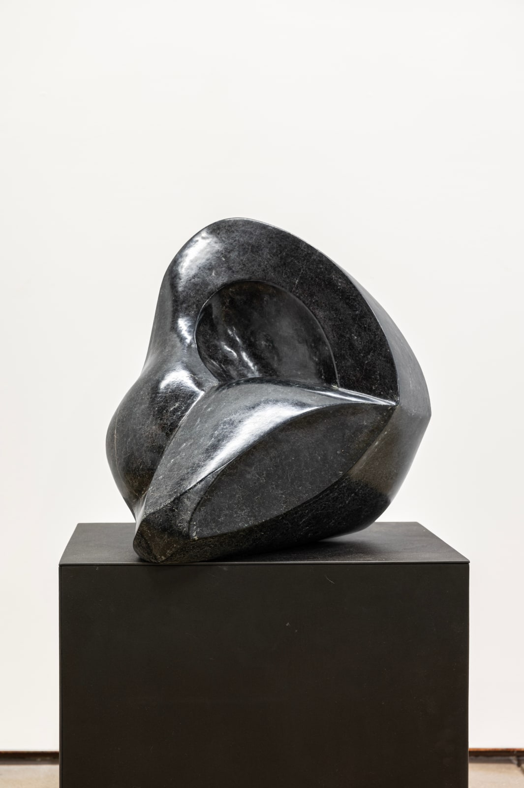 Michael Wilding, Curvature, 2022