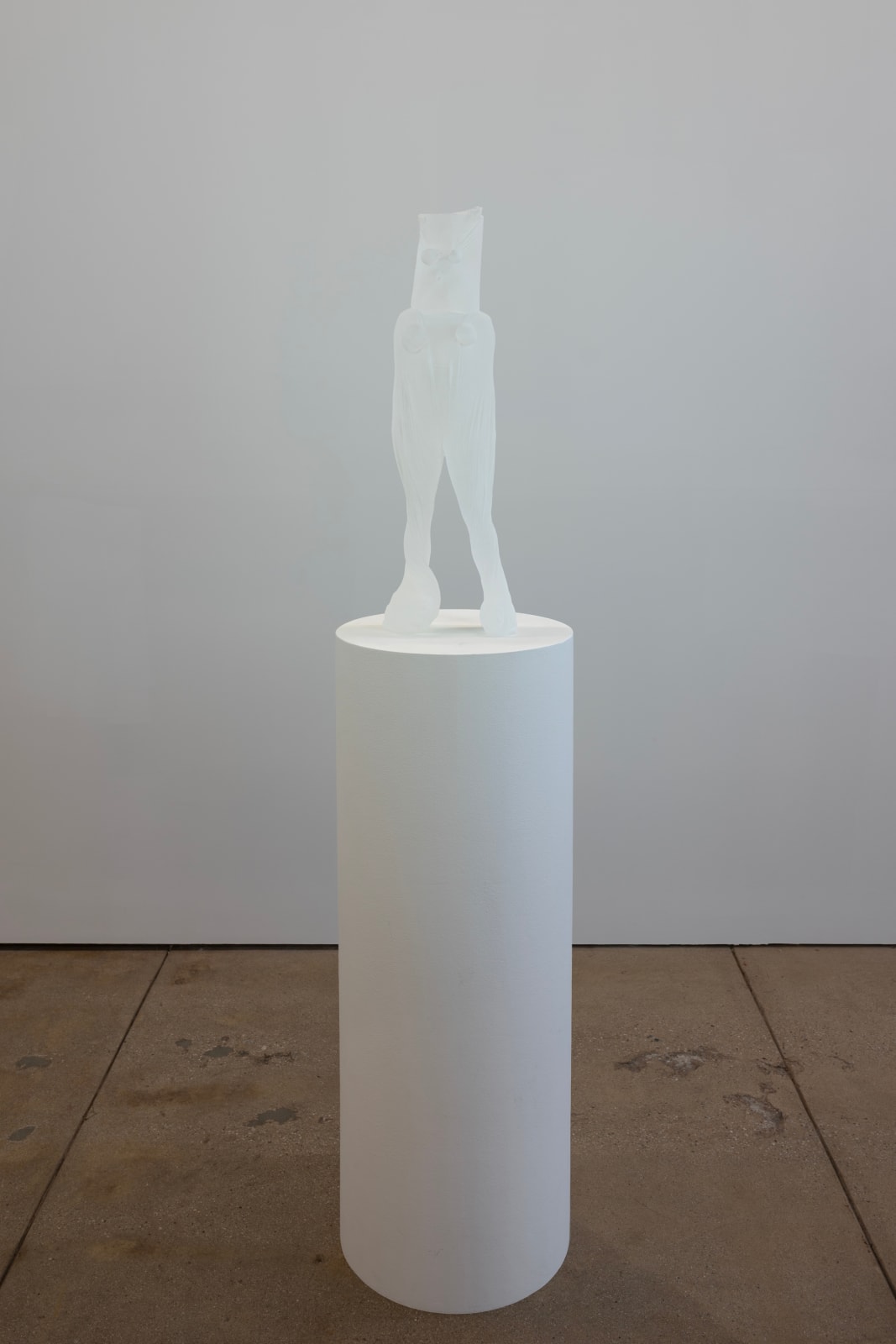 Polly Borland, Box Head, 2025