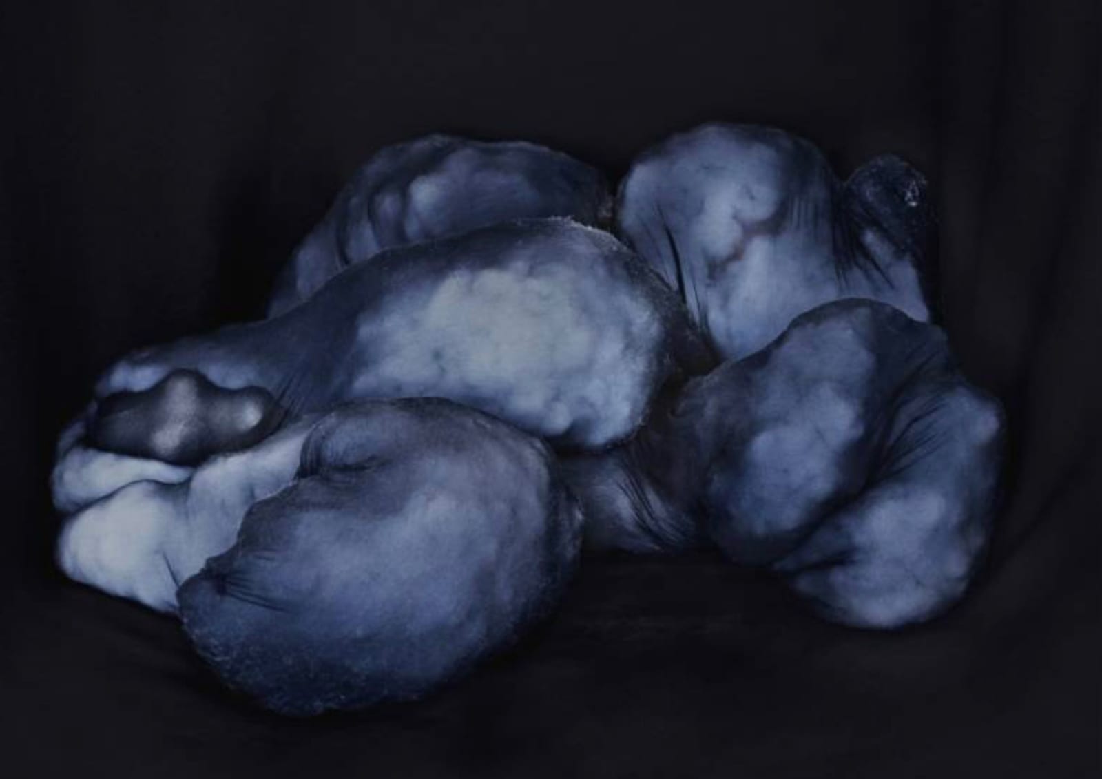 Polly Borland, Morph, 2018