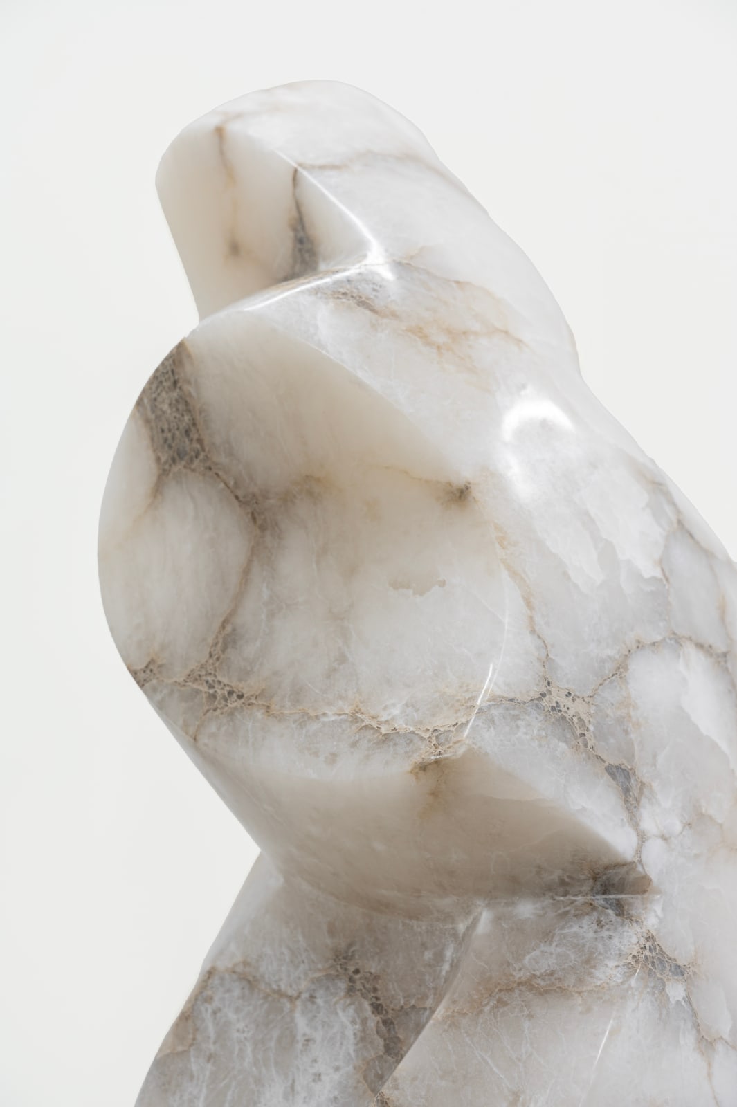 Michael Wilding, Nebula, 2024