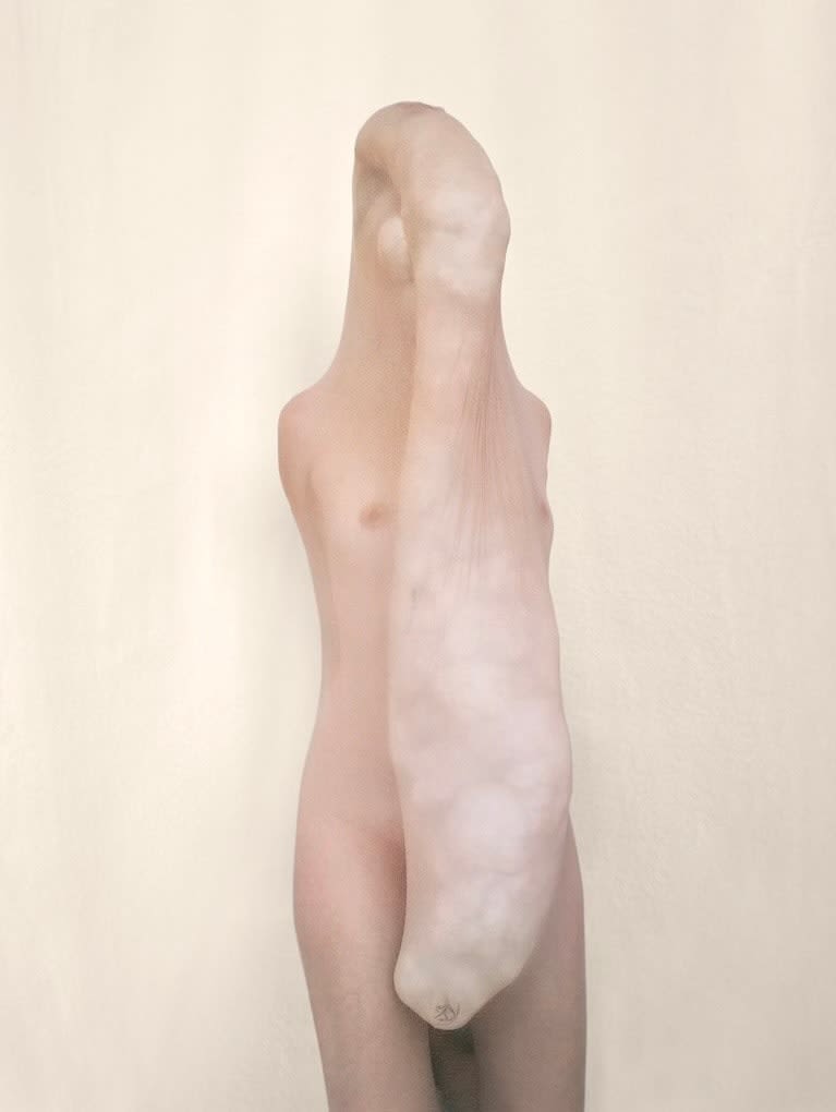 Polly Borland, Morph, 2018