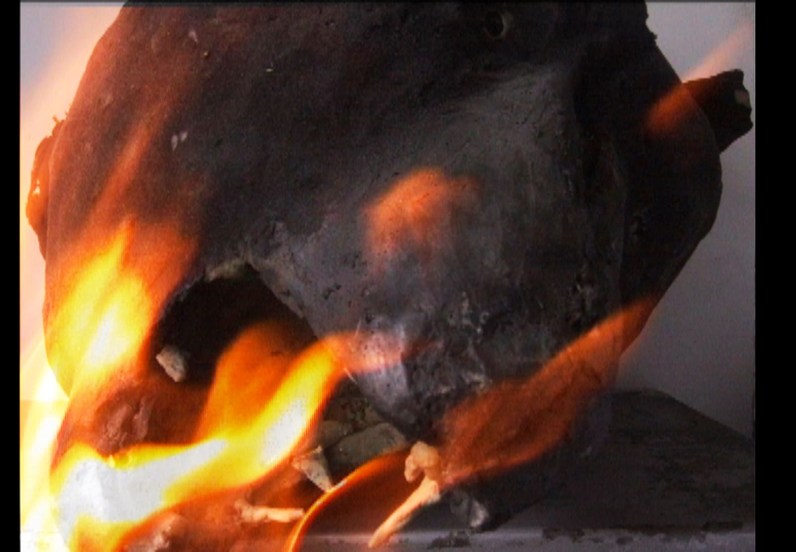 Michel Auder, LA ON FIRE, 2008