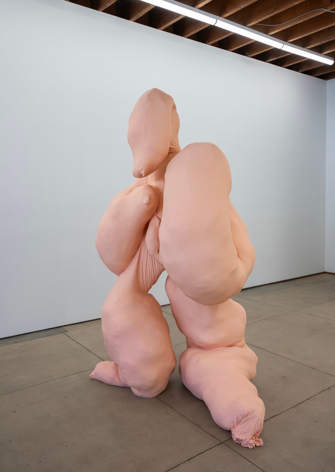 Polly Borland, BOD, 2023
