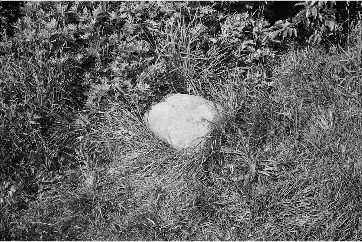 Graeme Mitchell, Rock, 2012