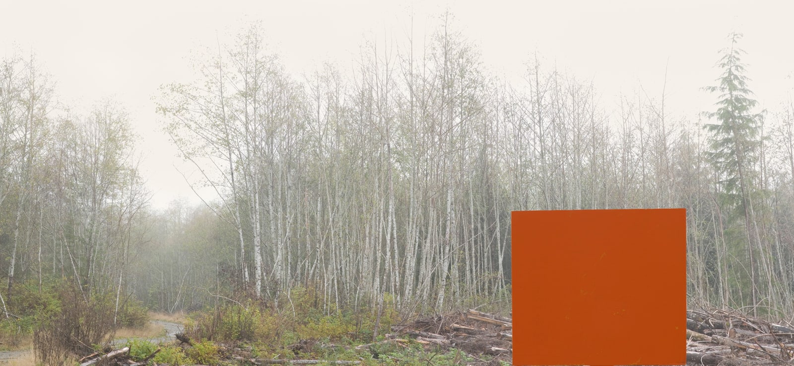 Bill Anderson, Counterbalance #1, 2008