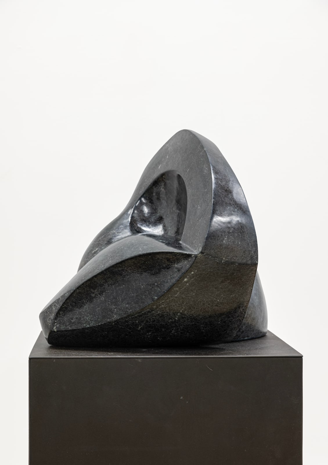 Michael Wilding, Curvature, 2022