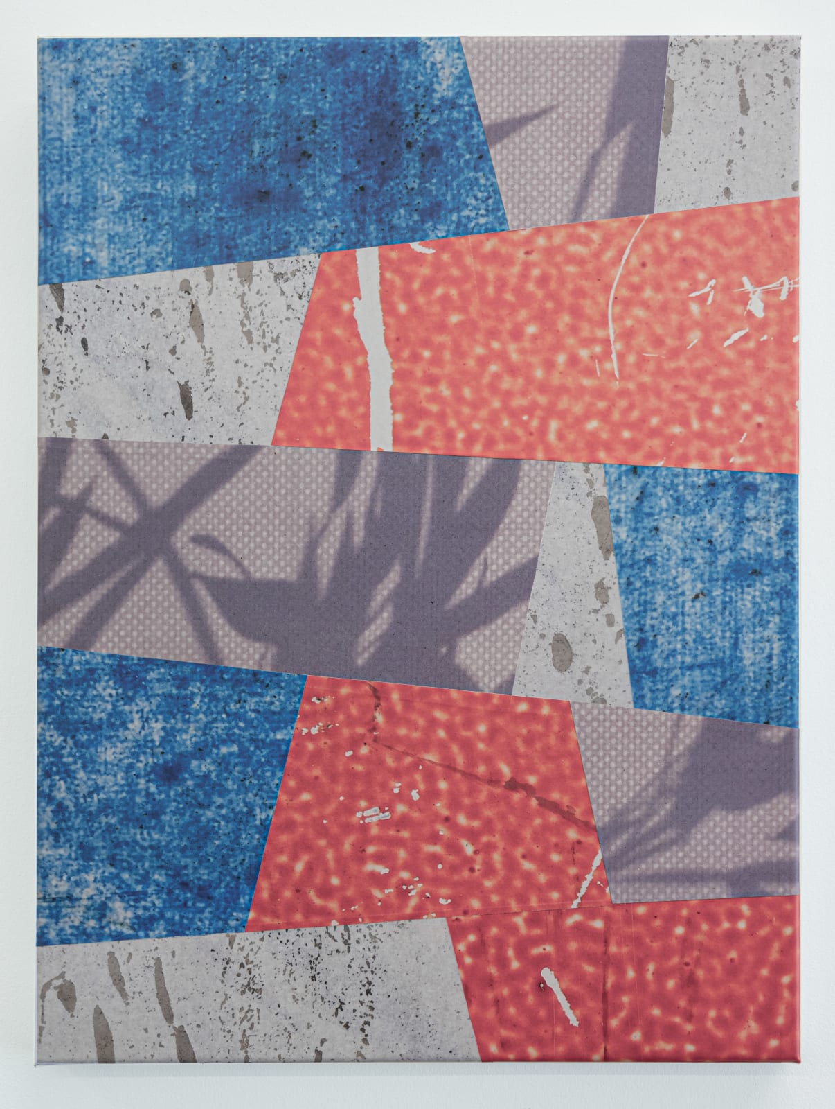 Louis Cameron, BRLN 13, 2019