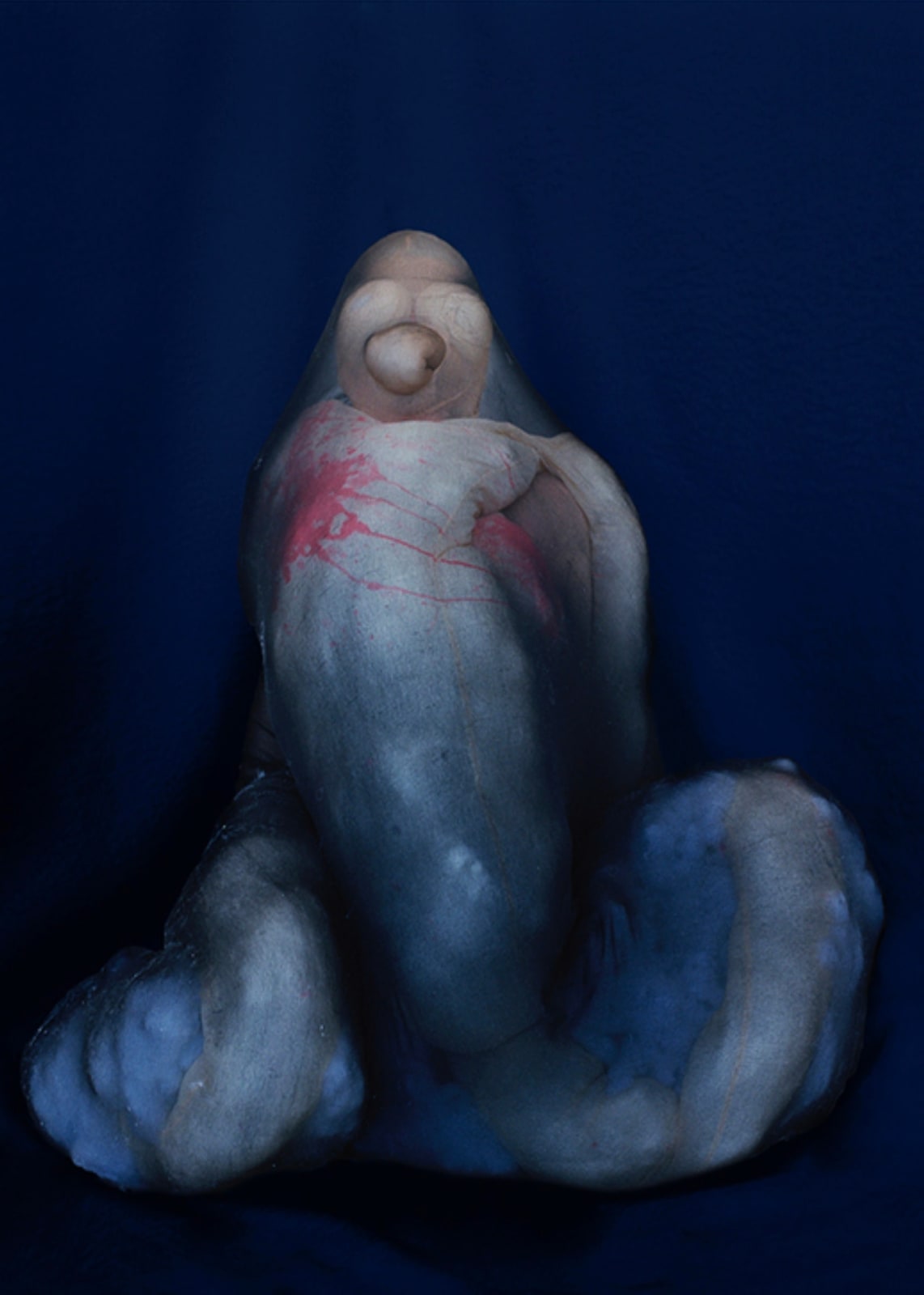 Polly Borland, Morph, 2018