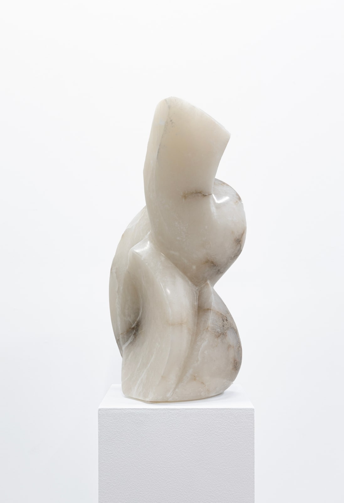 Michael Wilding, Nebula, 2024
