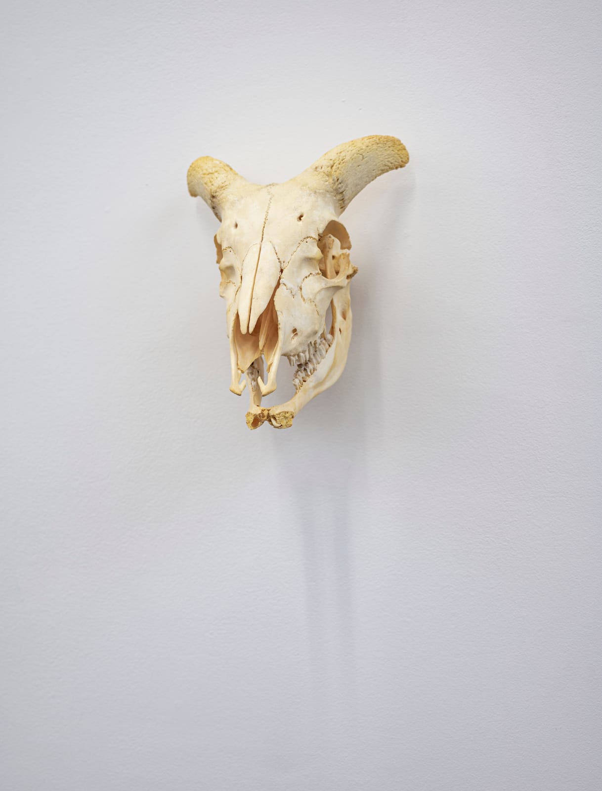 Ray Anthony Barrett, Memento Mori, 2021