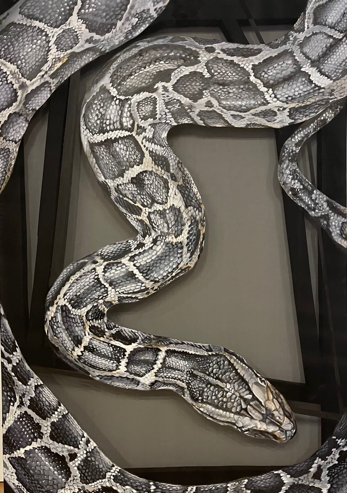 Sophie Roe, Snake, 2022