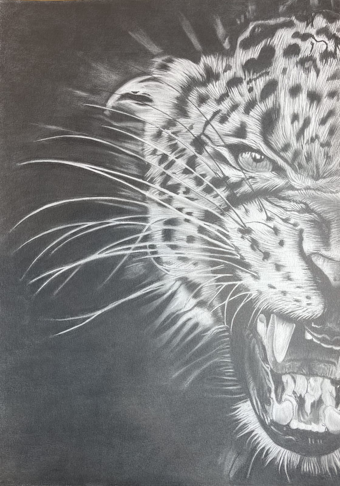 Ant Morgan, Kitty, 2021