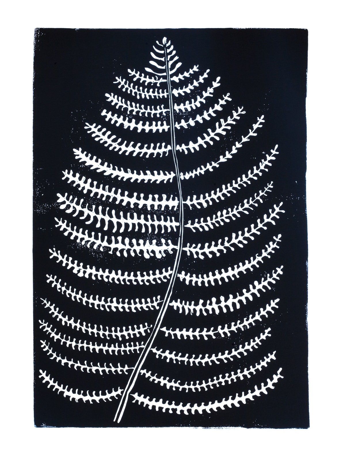 Hugo Guinness classic prints (unframed), Fern