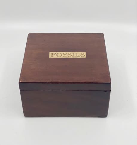 Victorian mahogany fossil box