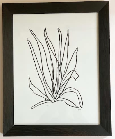 Hugo Guinness floral prints (framed), Desert Plant, 2023