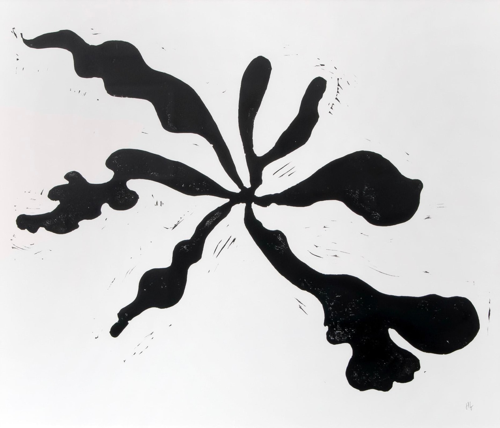 Hugo Guinness classic prints (unframed), Staghorn II