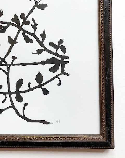 Hugo Guinness floral prints (framed), Vine on Wire, 2024