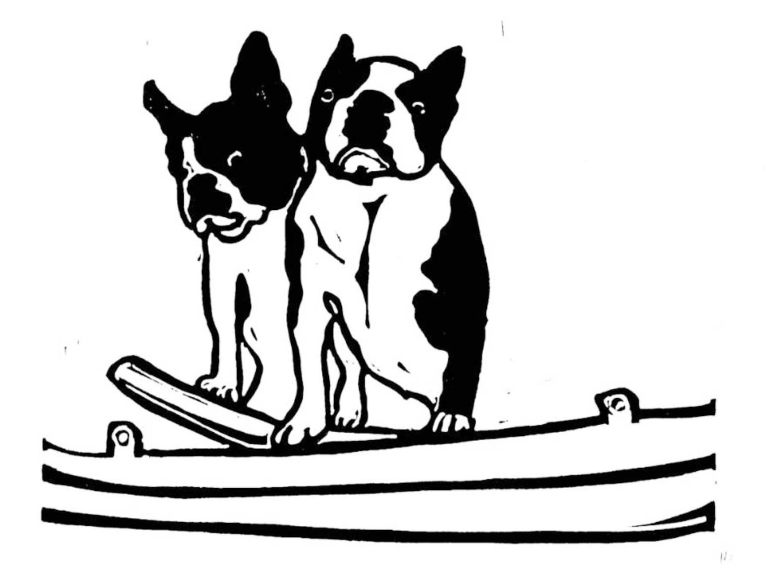 Hugo Guinness classic prints (unframed), Boston Terriers