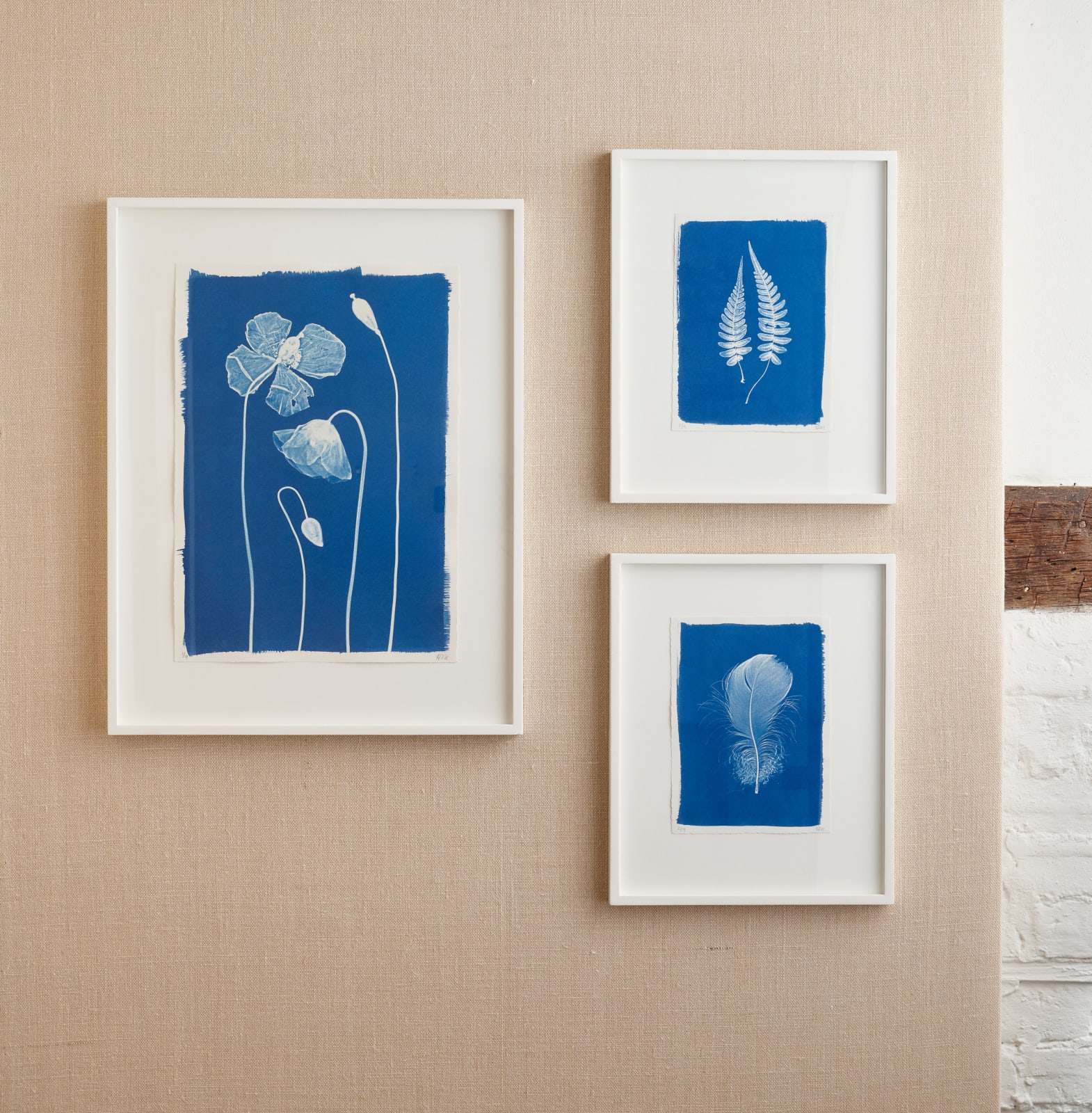 Henrietta Molinaro, Small Two Ferns - framed , 2025