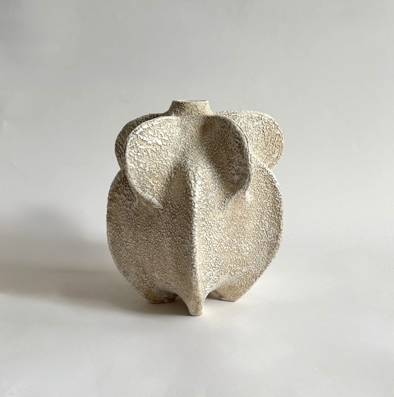 Julie Nelson, Ivory Petal Seed, 2025