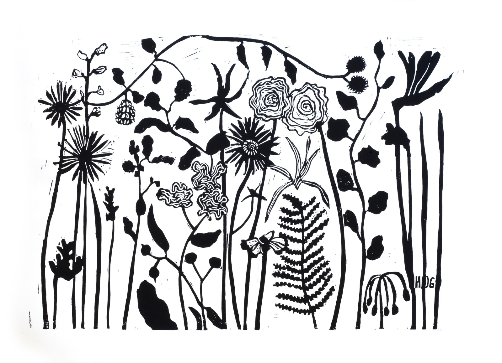 Hugo Guinness classic prints (unframed), Florabunda I