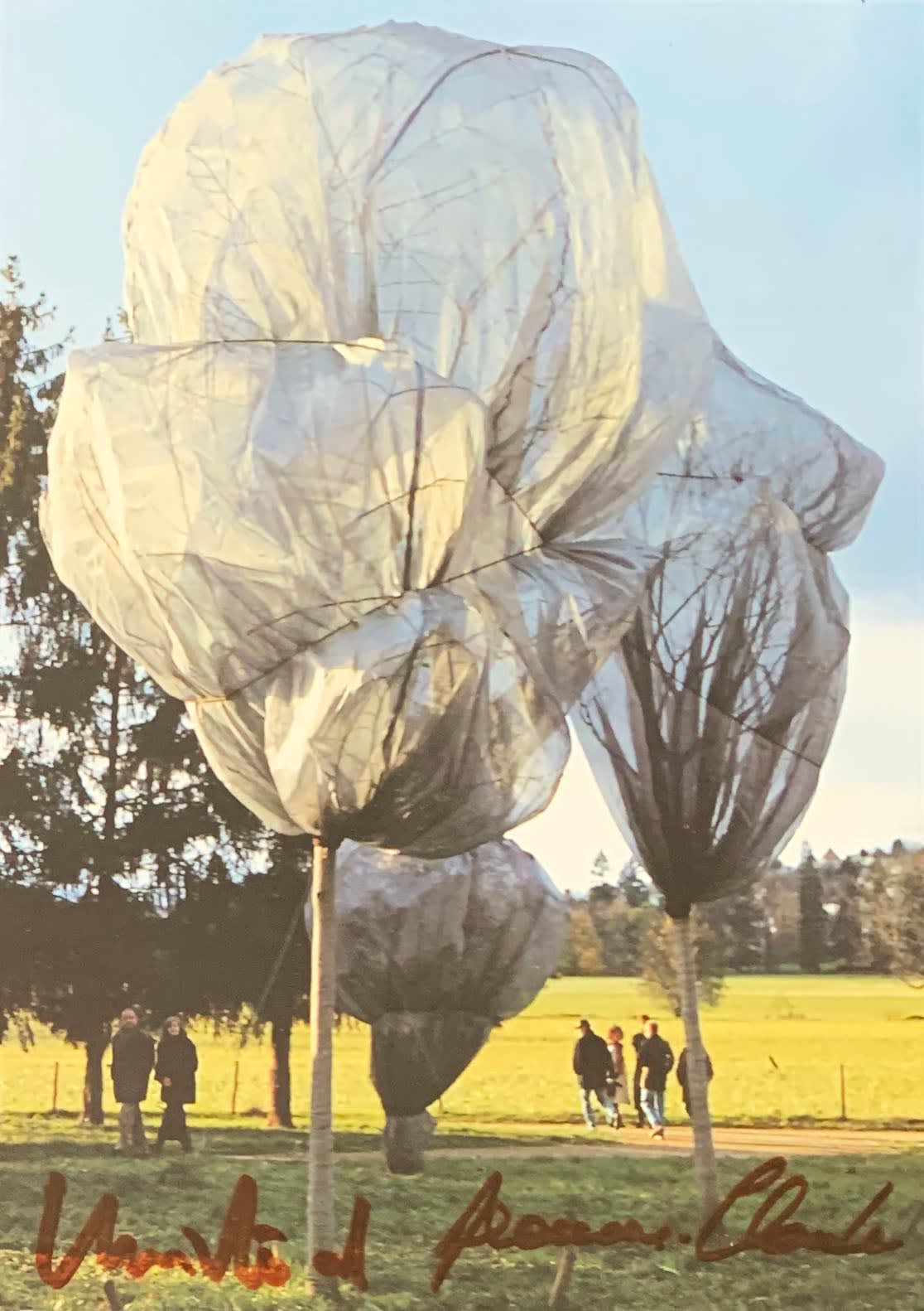 Christo & Jeanne Claude, Wrapped Trees - Foundation Beyeler, Berower Park,  Riehen, Switzerland, 1997-98 | WSJ Gallery