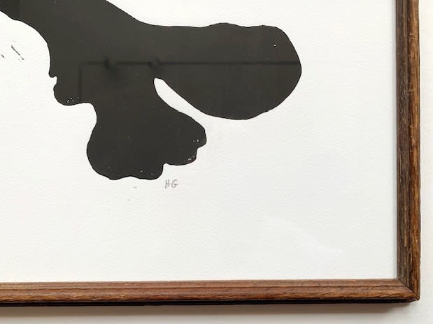 Hugo Guinness floral prints (framed), Staghorn II, 2023